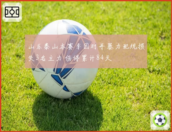 山东泰山本赛季因对手暴力犯规损失3名主力 伤停累计84天