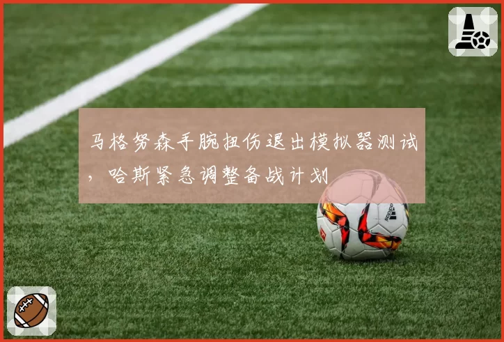 马格努森手腕扭伤退出模拟器测试，哈斯紧急调整备战计划
