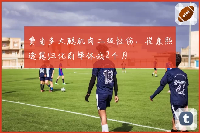 费南多大腿肌肉二级拉伤，崔康熙透露归化前锋休战2个月