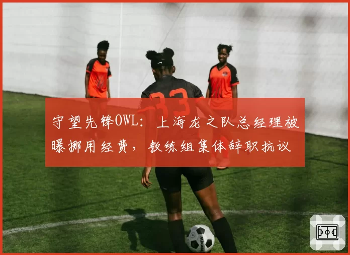 守望先锋OWL：上海龙之队总经理被曝挪用经费，教练组集体辞职抗议俱乐部管理混乱