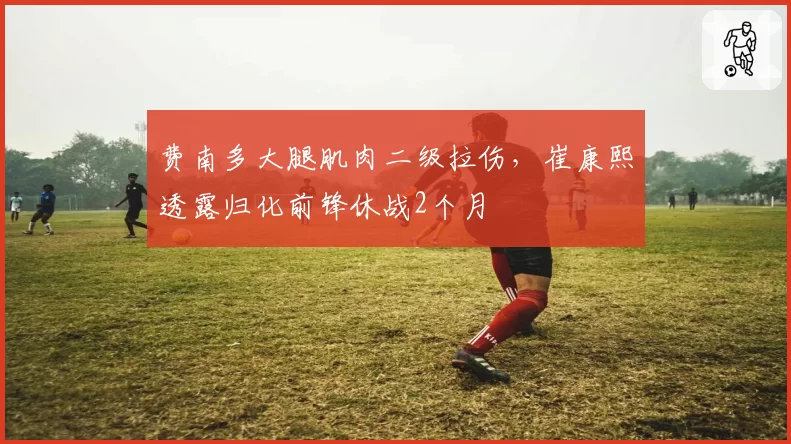 费南多大腿肌肉二级拉伤，崔康熙透露归化前锋休战2个月