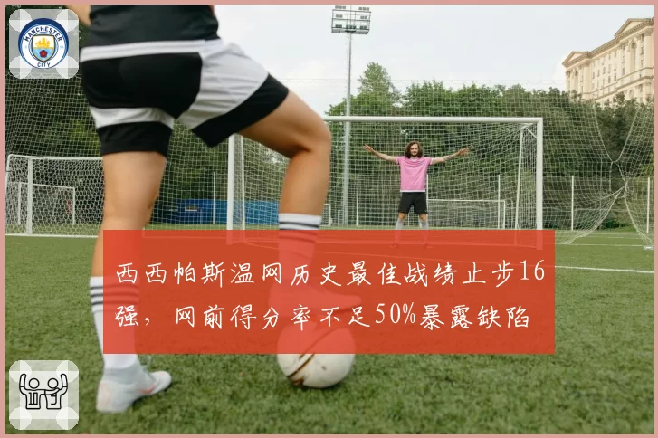 西西帕斯温网历史最佳战绩止步16强，网前得分率不足50%暴露缺陷