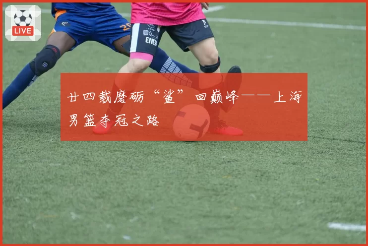 廿四载磨砺“鲨”回巅峰——上海男篮夺冠之路