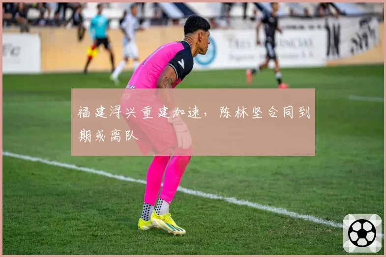 福建浔兴重建加速，陈林坚合同到期或离队